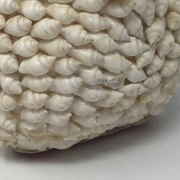 Sea Shell Art Decor Small Pig Vintage - Picture 12 of 12